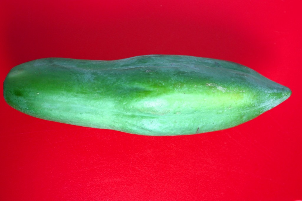 Grüne Papaya